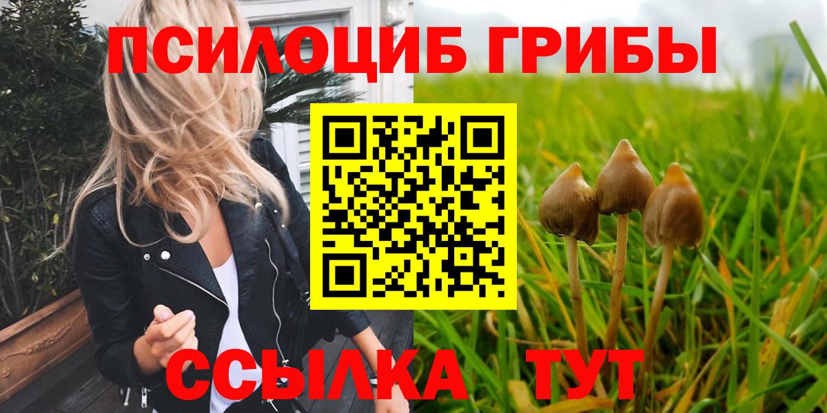Псилоцибиновые грибы ЛСД Кириши